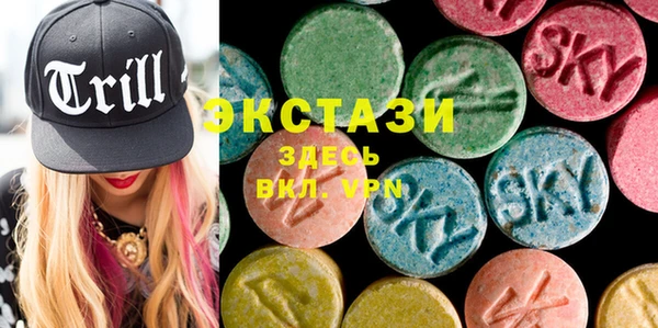дживик Няндома