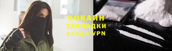 дживик Няндома