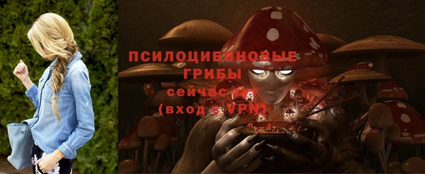 соль курить ск Нязепетровск