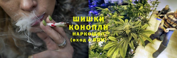 дживик Няндома