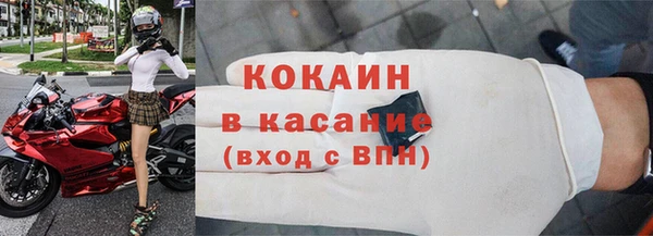 дживик Няндома