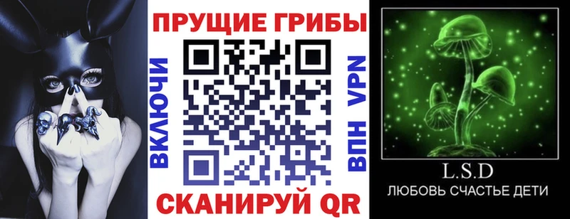Галлюциногенные грибы Cubensis  мориарти наркотические препараты  Исилькуль 